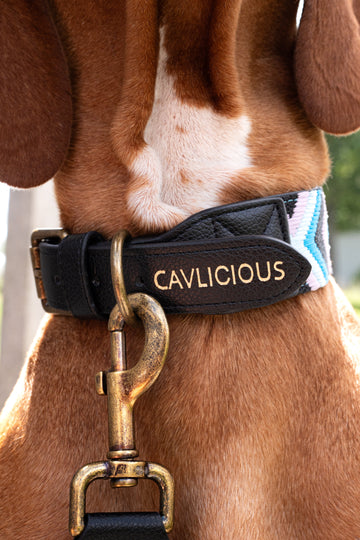 Collars
