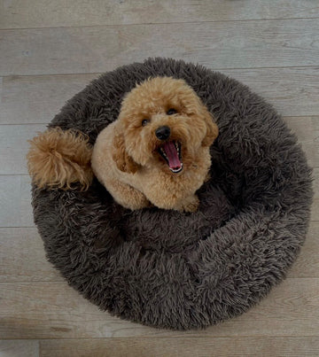 Donut Bed