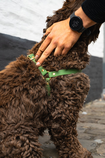 VEGAN PVC harness