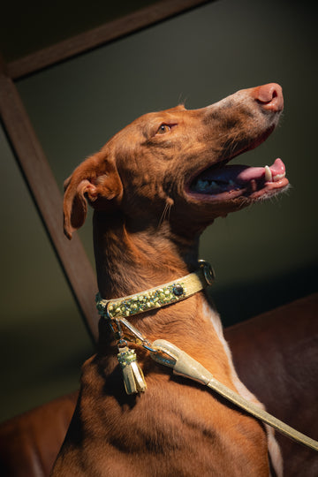 Collar DELUXE Leather Crystal