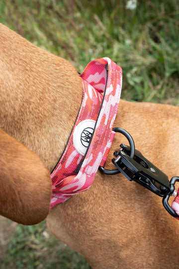 Tactical Collar Bold&Brave