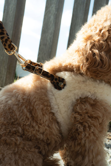 Step In Harness DELUXE Lambswool