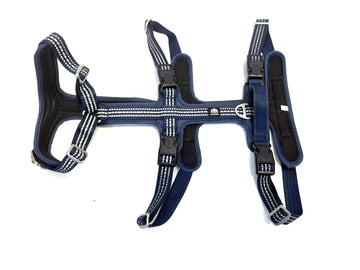 Dog Harness SPORT Double Lock