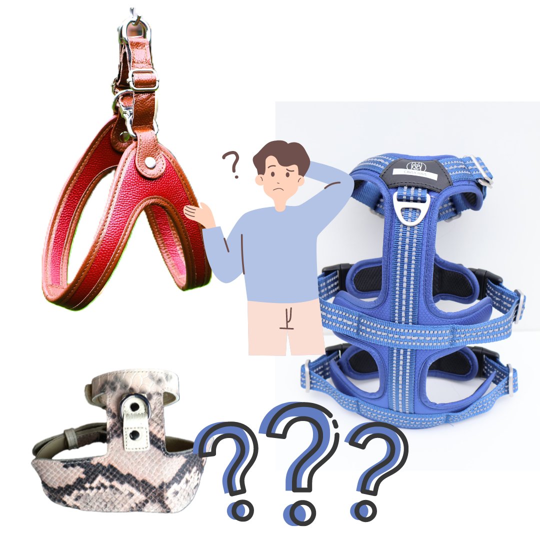 Which harness do I choose for my dog? - Cavlicious