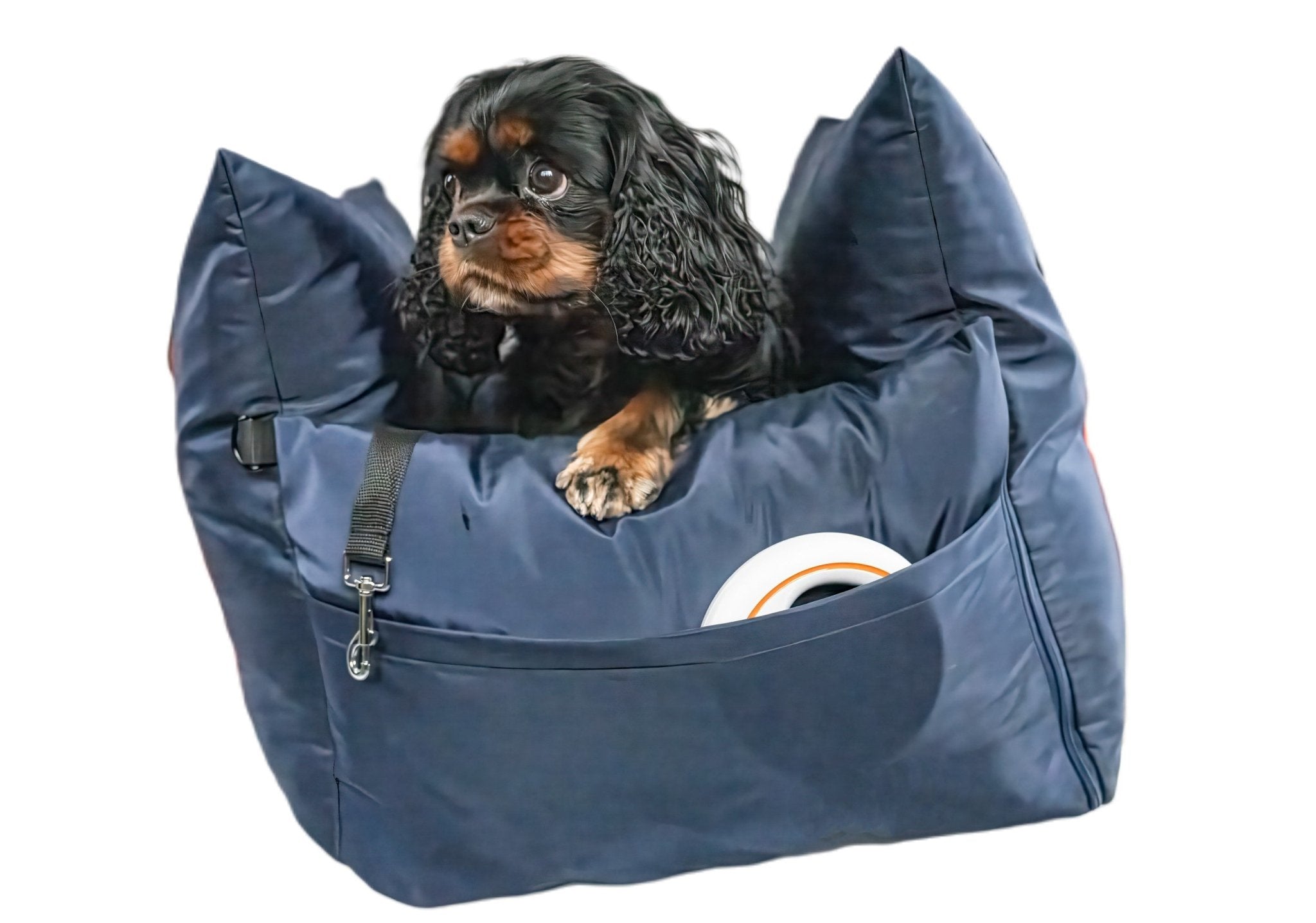 Why use a dog car seat? - Cavlicious