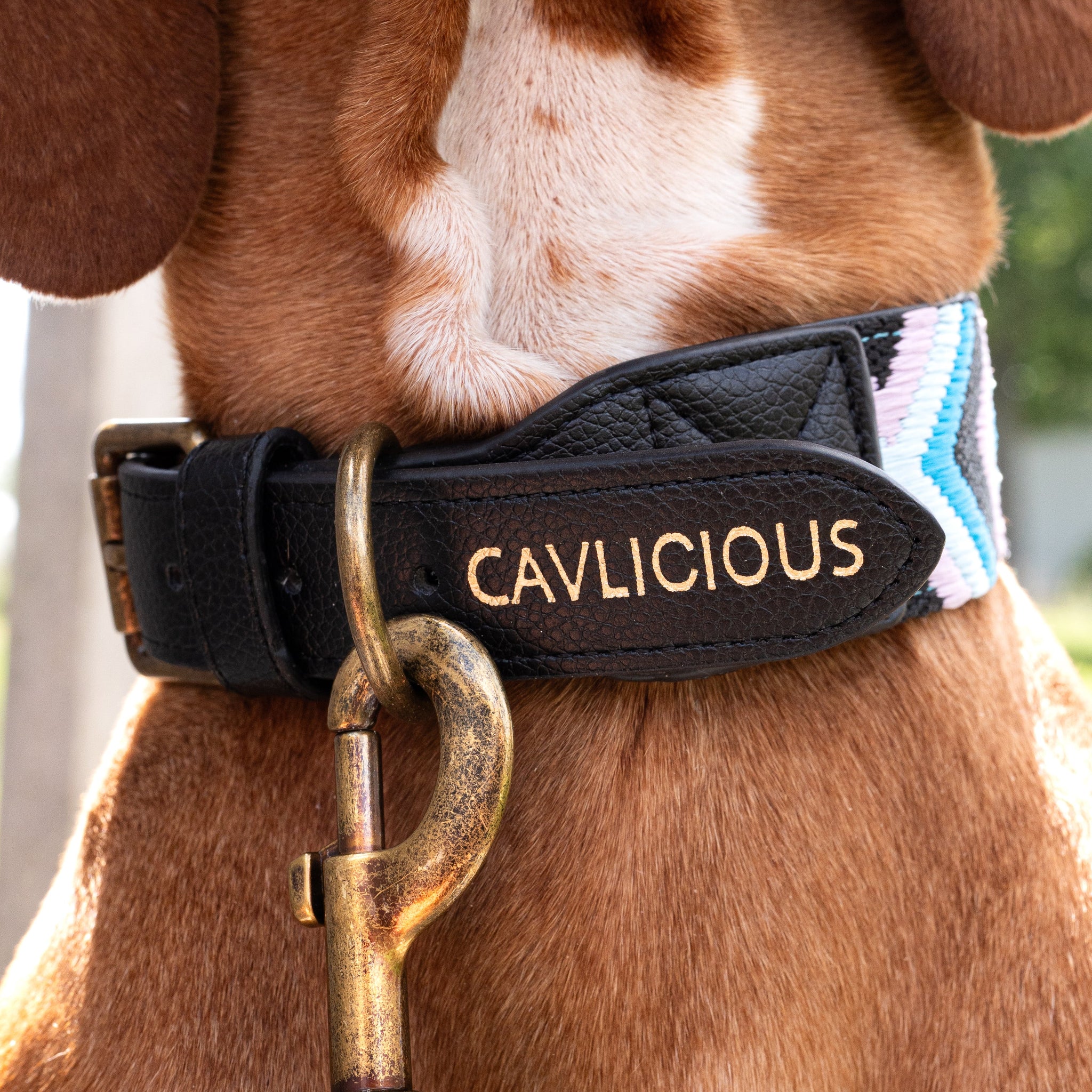 Collars