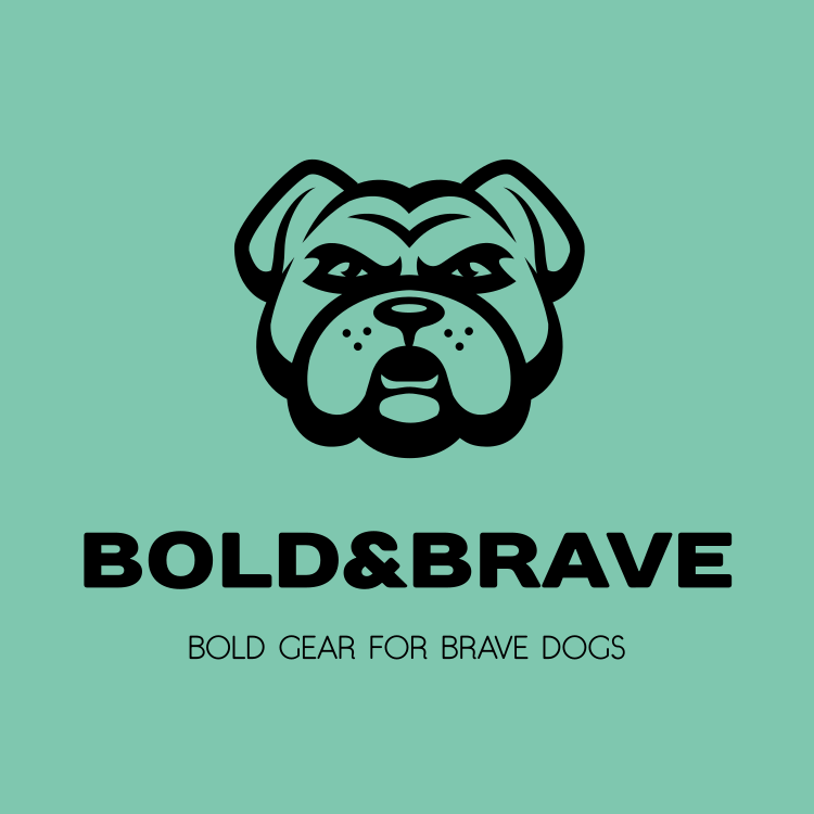 BOLD&BRAVE