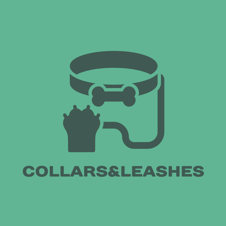 Collars and leashes