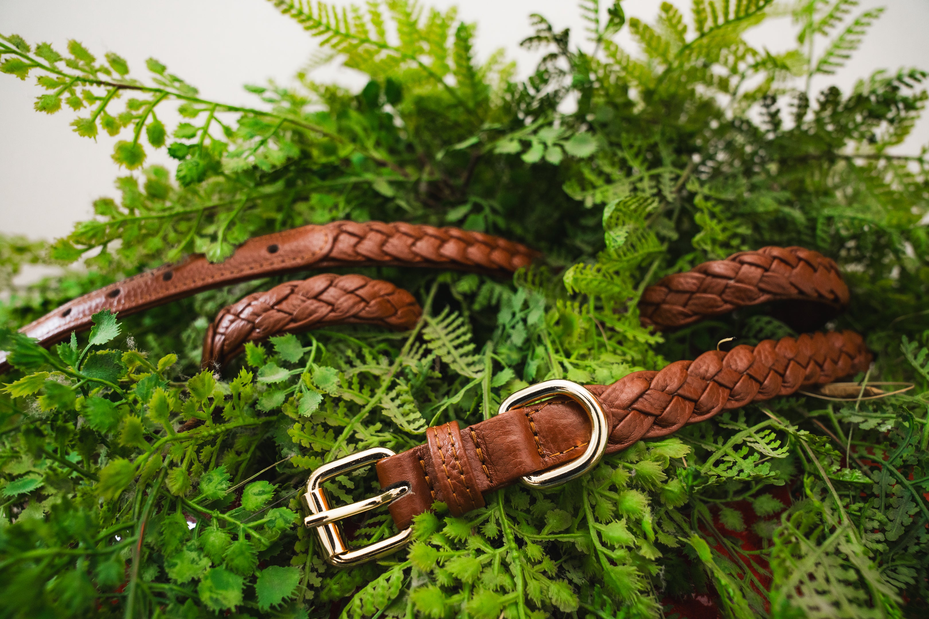 slider image 1621243260e1af0c20-0