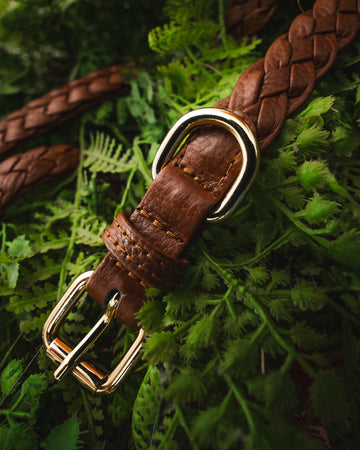 Forest Collar