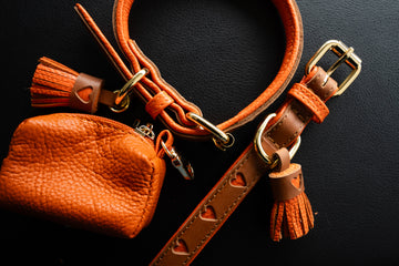 Collar DELUXE Hartjes