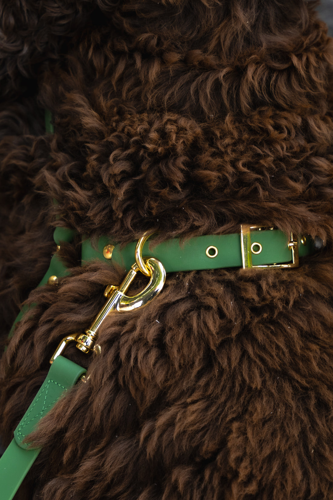 VEGAN PVC harness