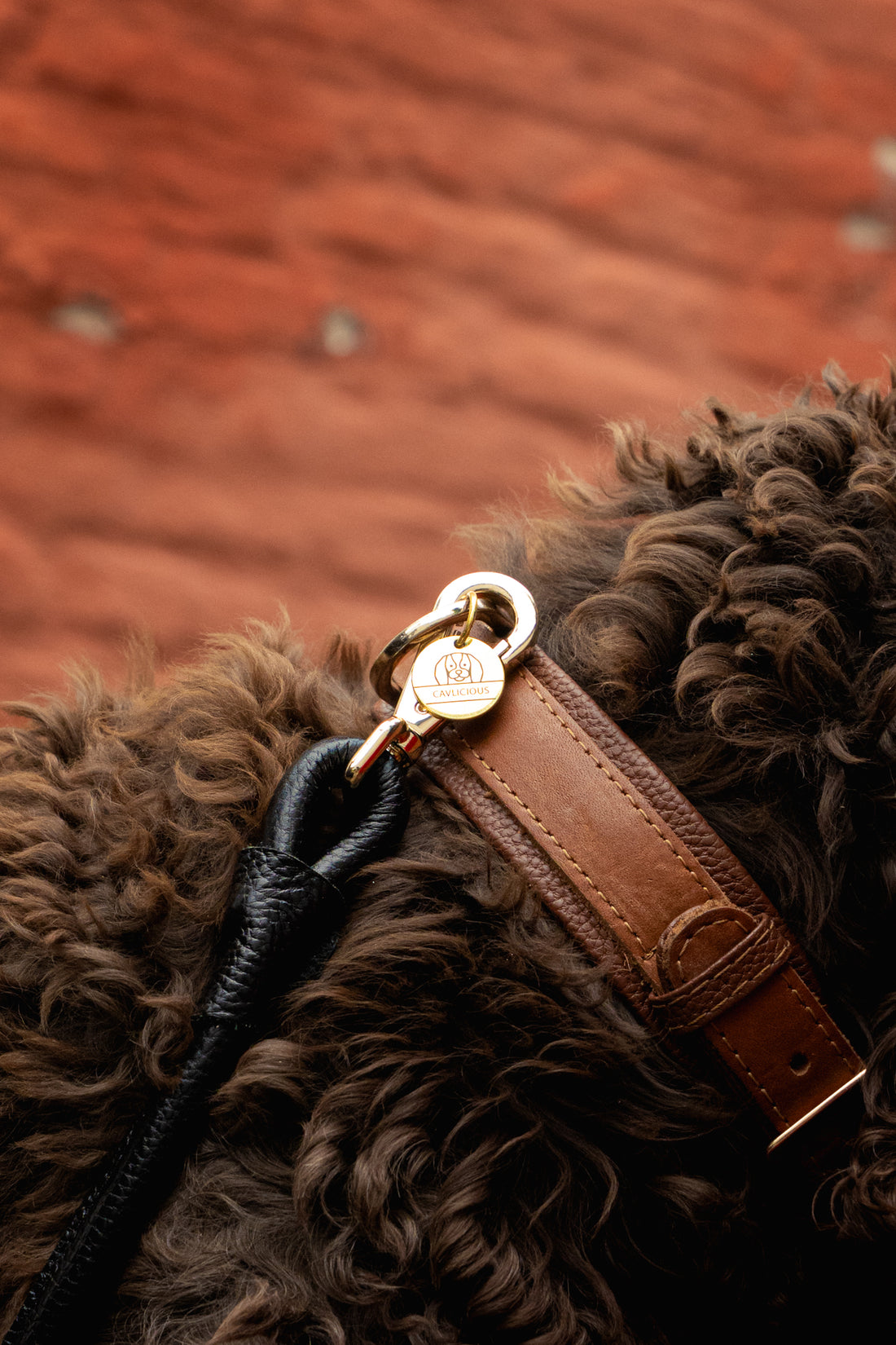 airtag hondenhalsband leer