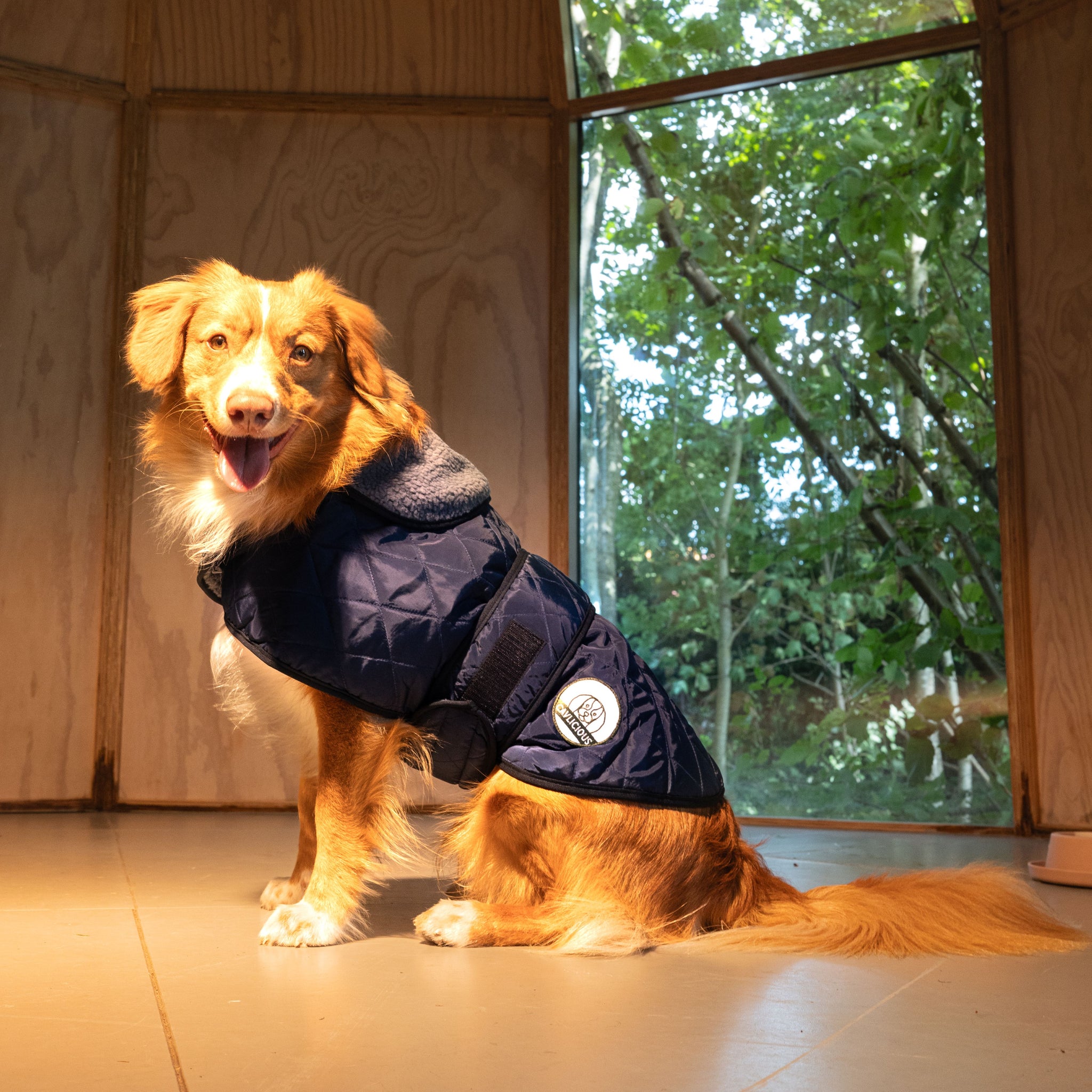 Winter Coat Quilted