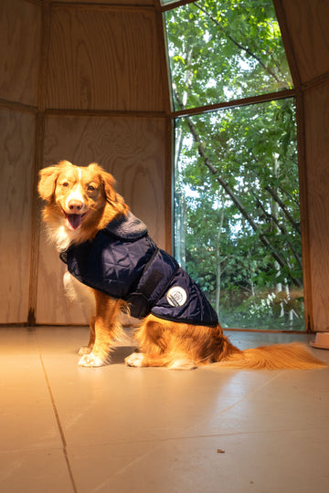 Winter Coat Quilted