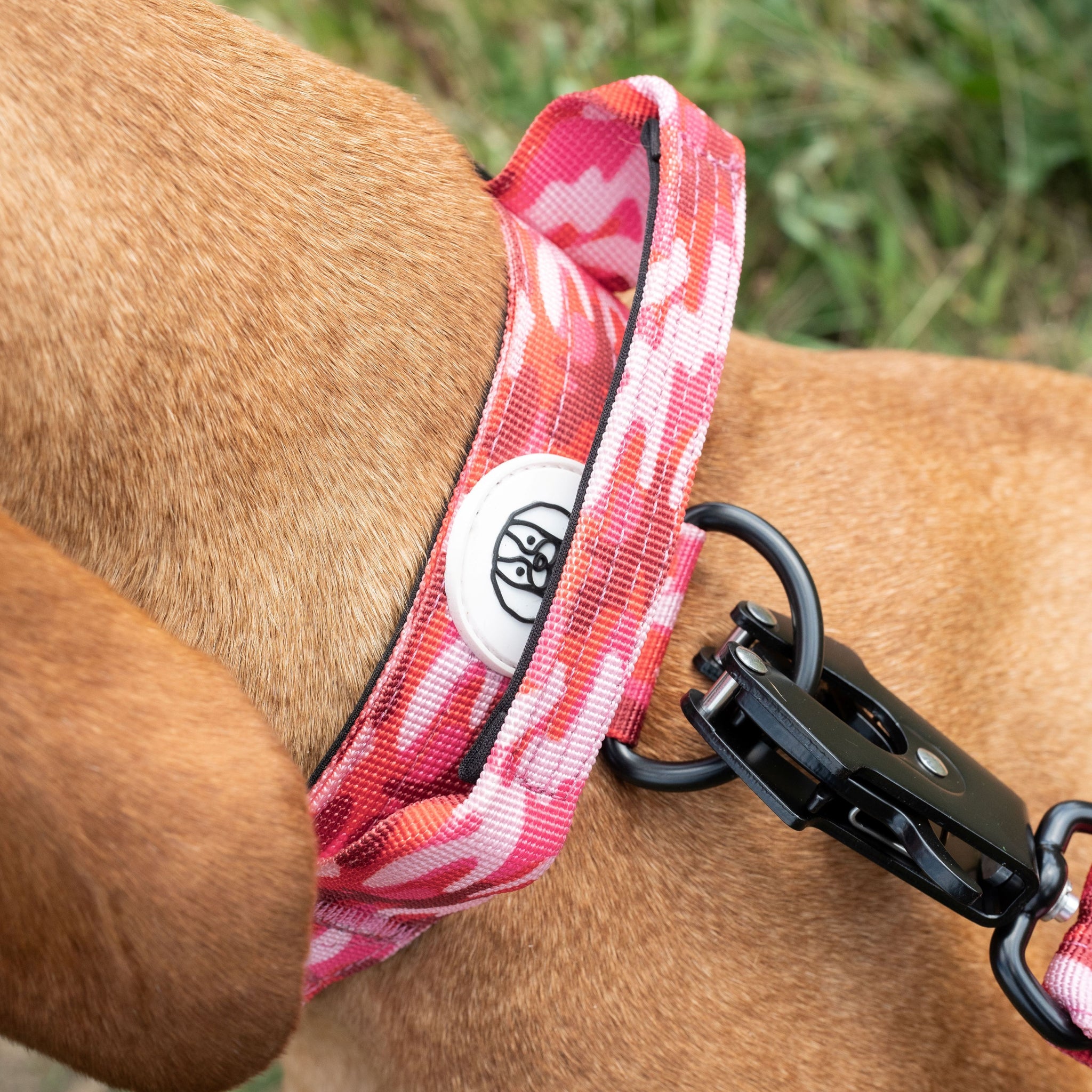 Tactical Collar Bold&Brave