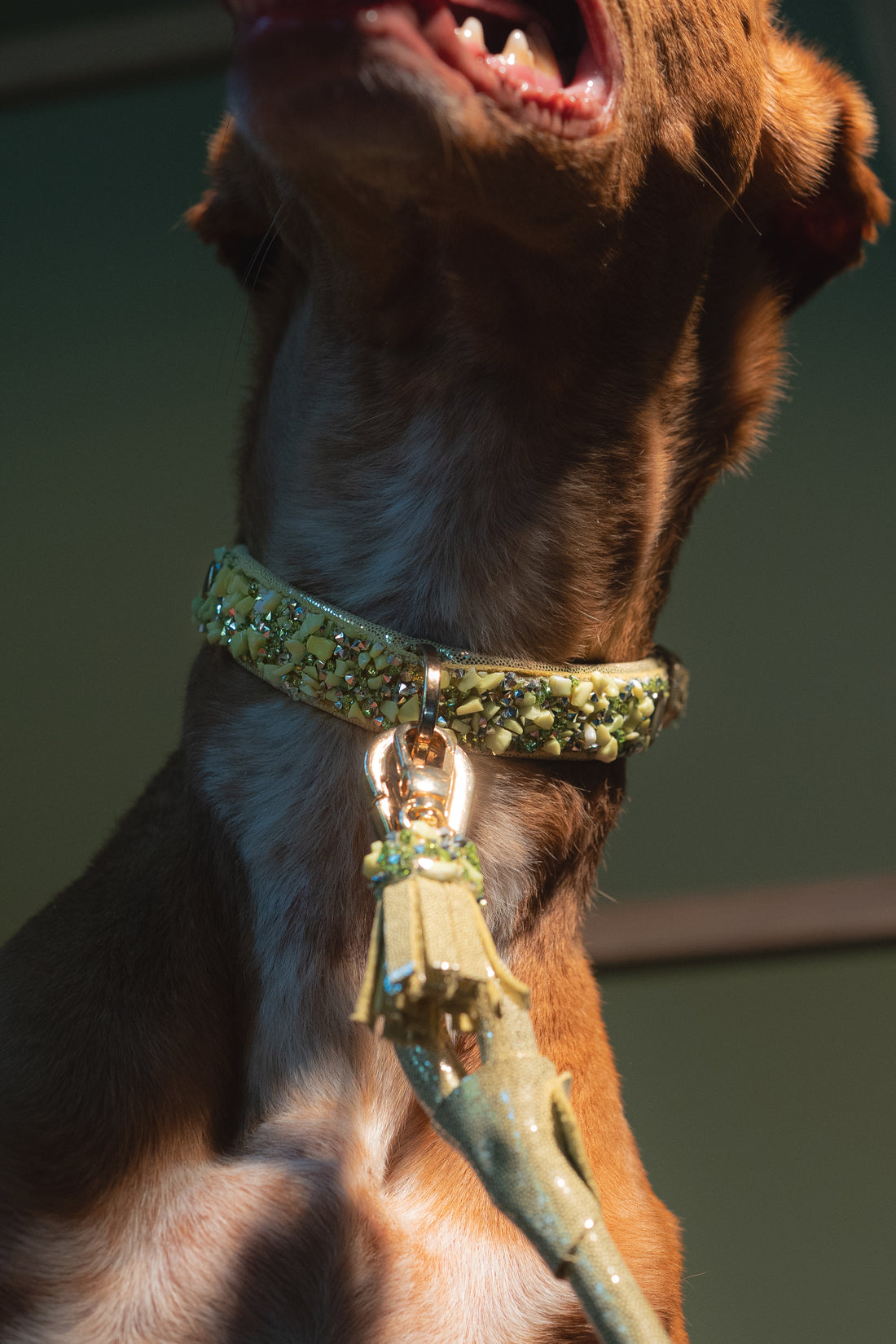 DELUXE leren Crystal halsband