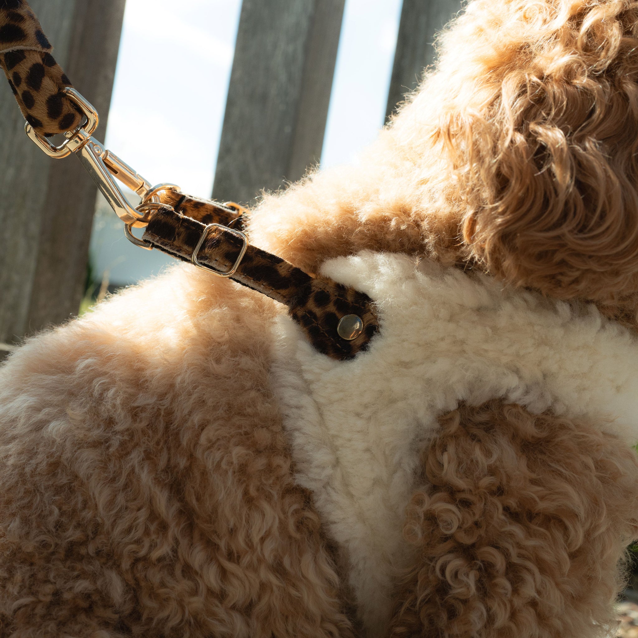 Step In Harness DELUXE Lambswool