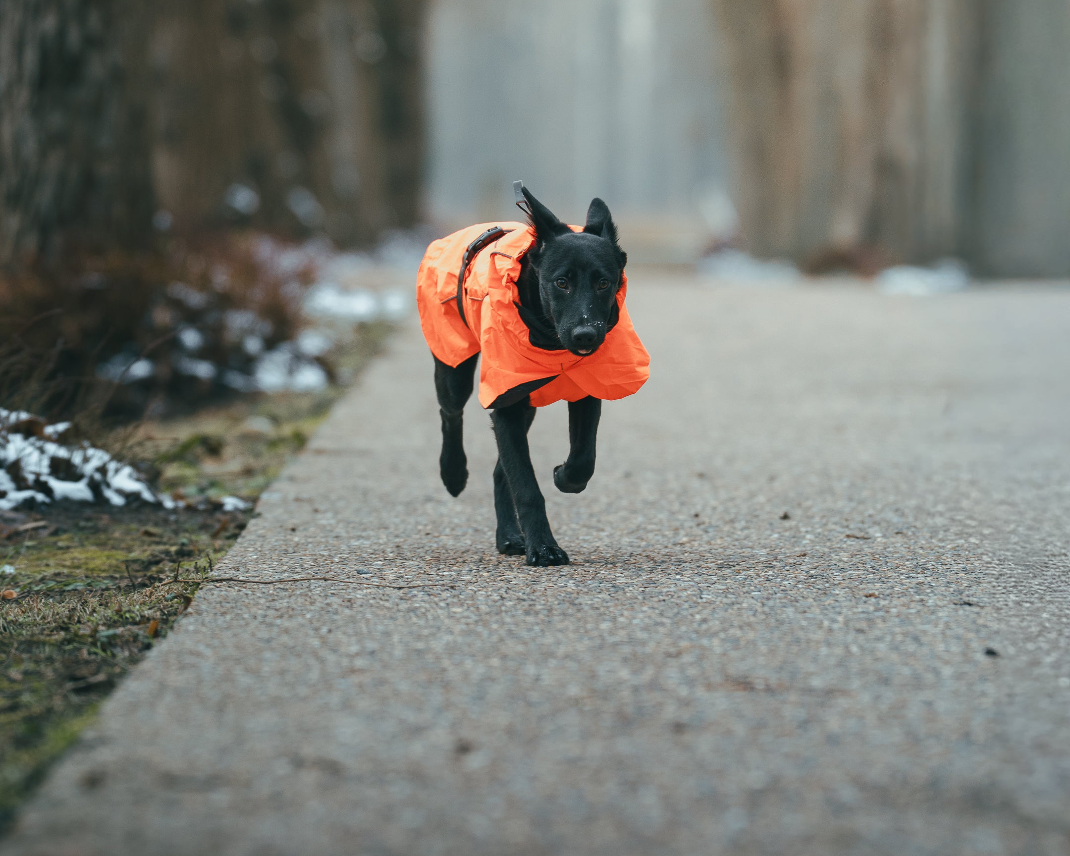 slider image 1621243260e1af0c20-0