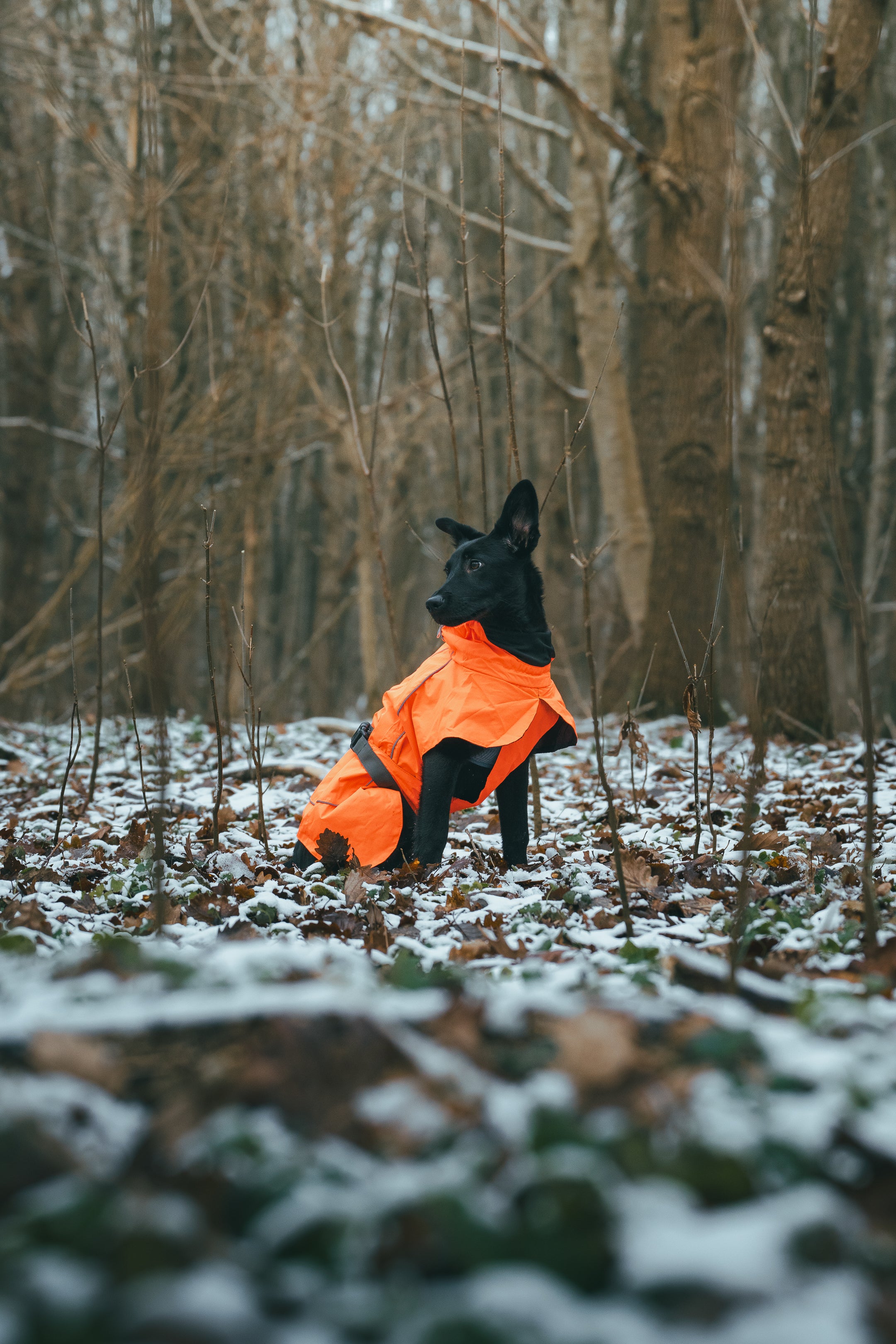 slider image slider_item_HWVFfL