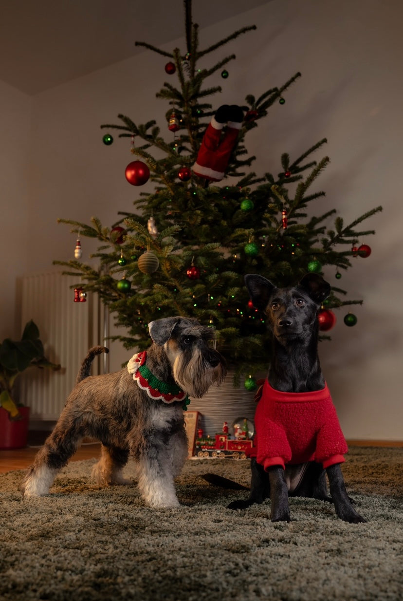 slider image slider_item_HWVFfL