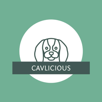 CAVLICIOUS GIFT Card