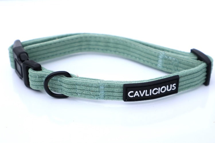 X-TRA Corduroy Collar green dog collar