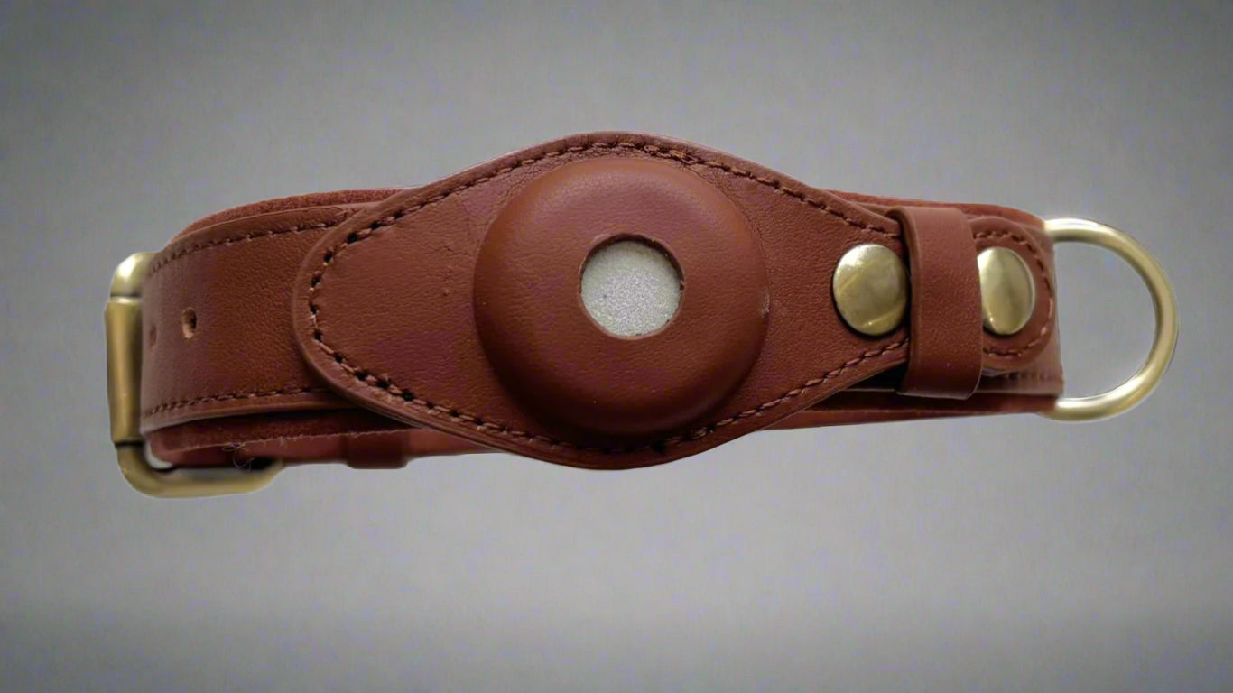 leather airtag collar