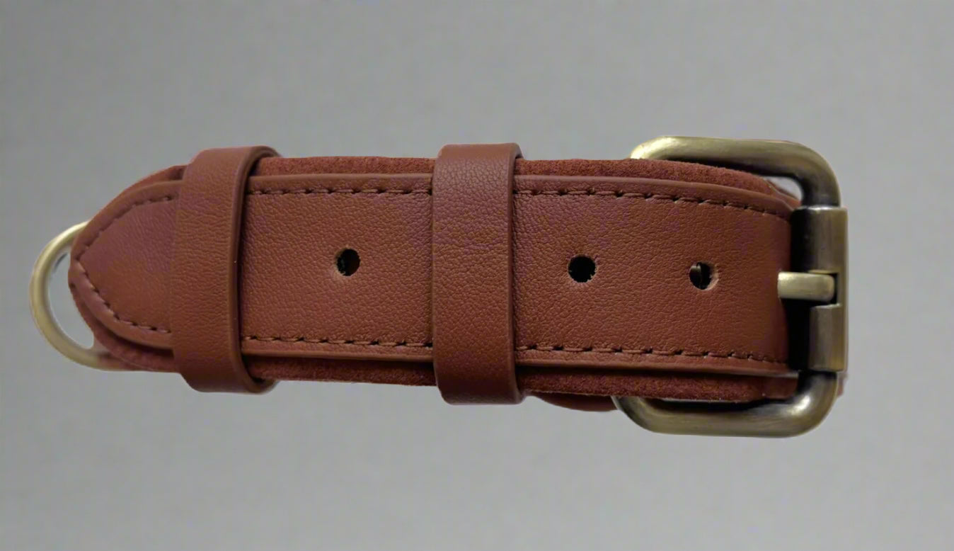 airtag collar
