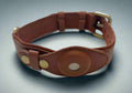 airtag collar