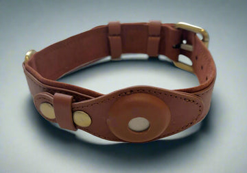 airtag collar