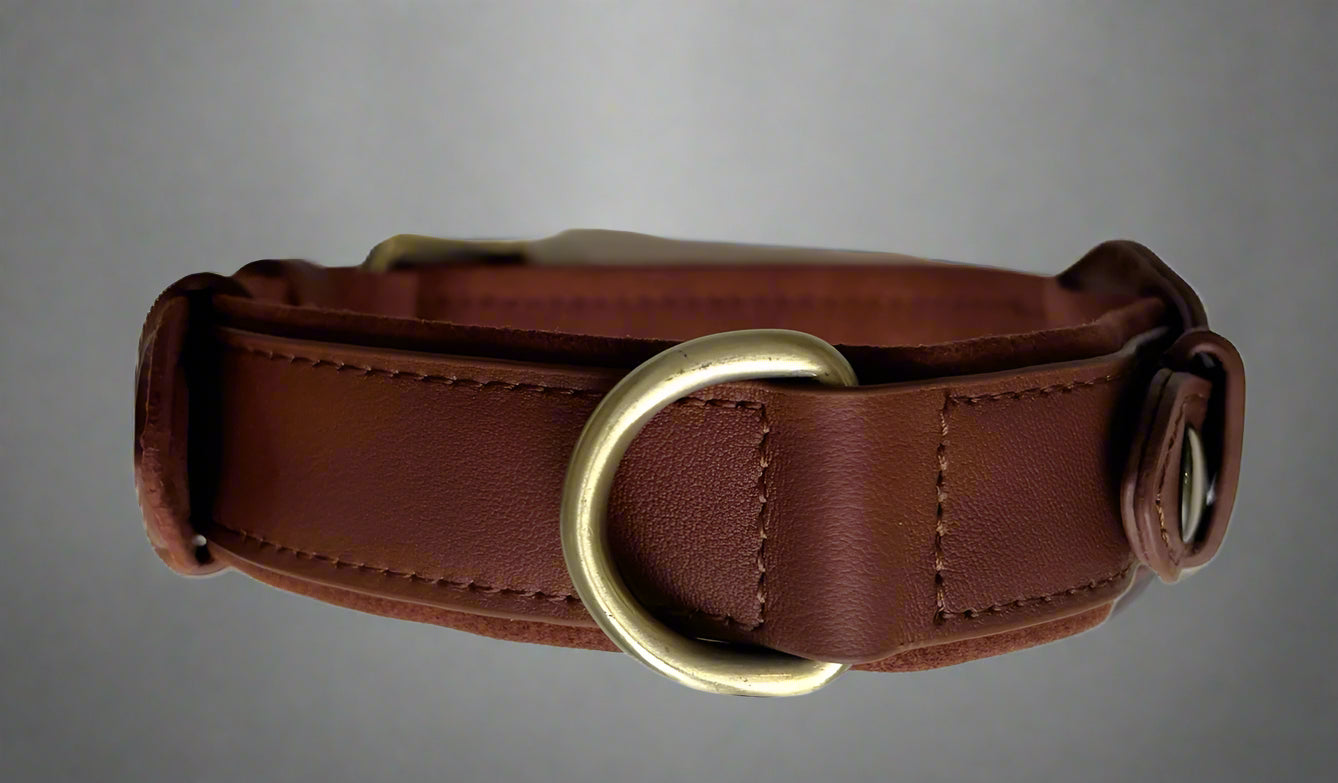 airtag collar