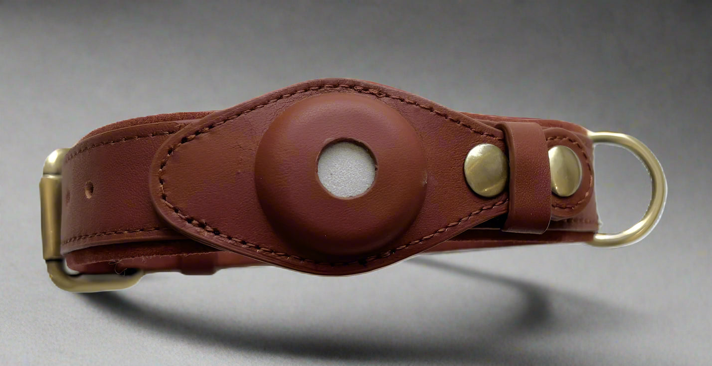 airtag collar