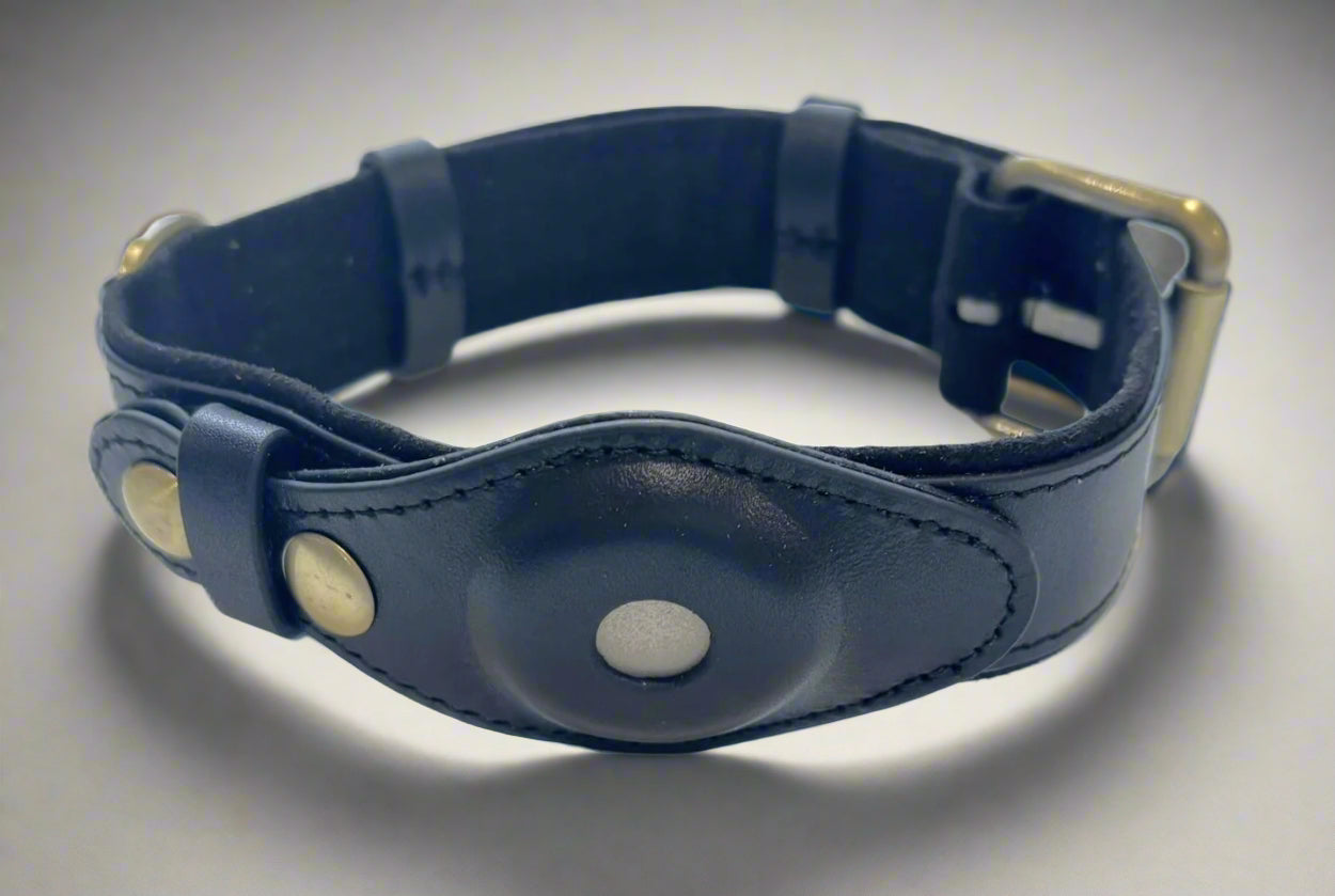 airtag collar
