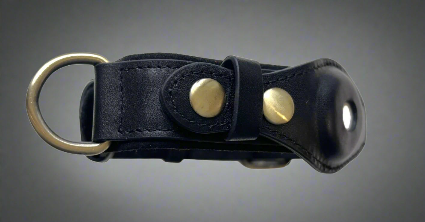airtag collar