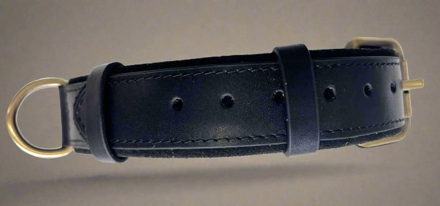 airtag collar