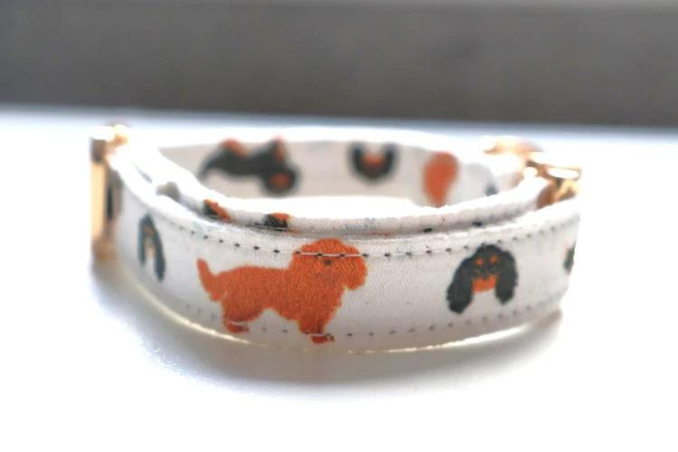 dog collar with cavalier print