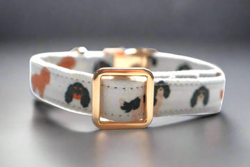 dog collar with cavalier print