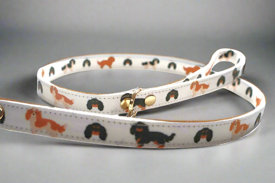 dog leash with cavalier design