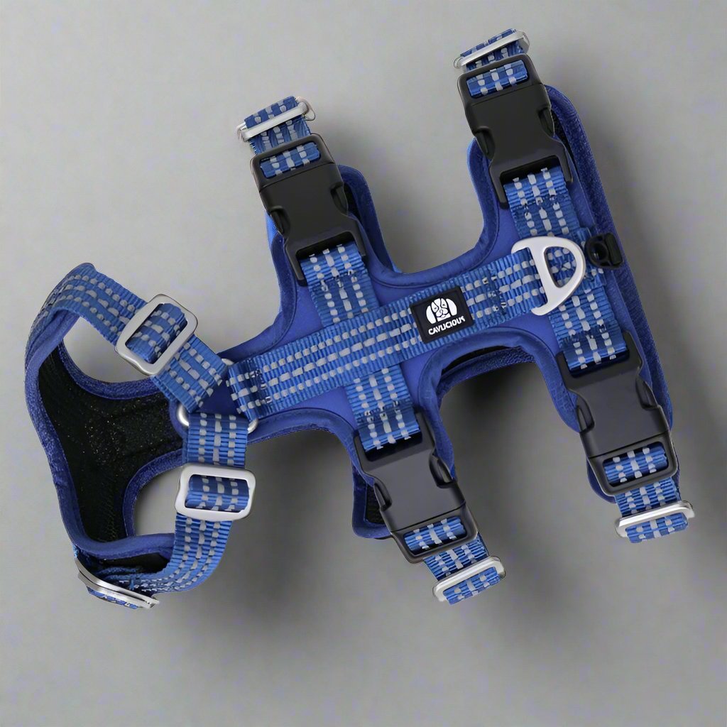SPORT anti escape harness Cavlicious double lock system blue