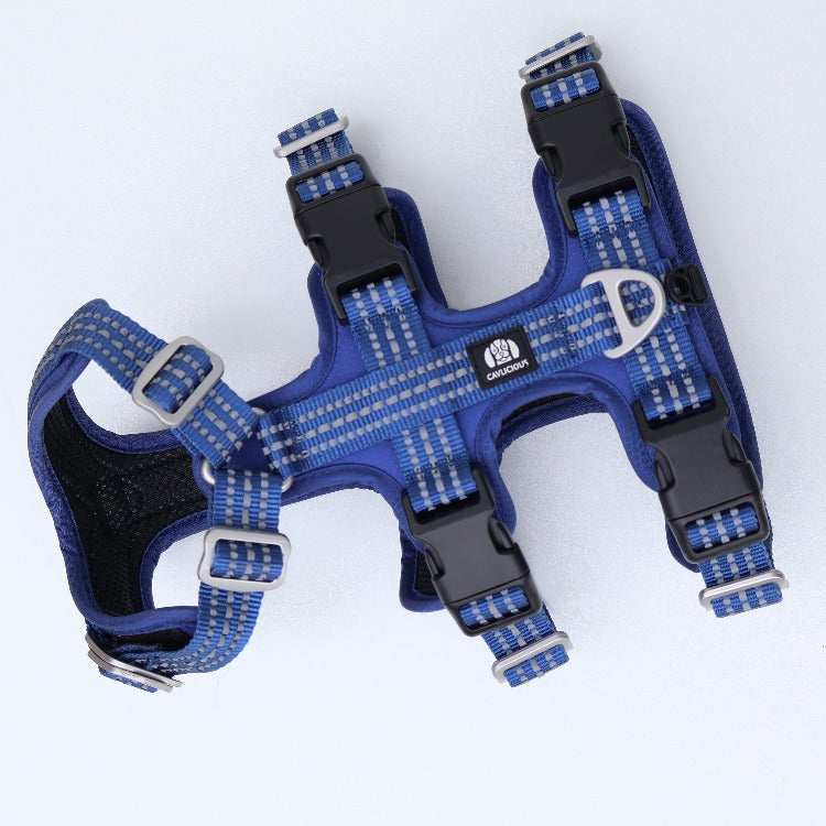 SPORT anti escape harness Cavlicious double lock system blue