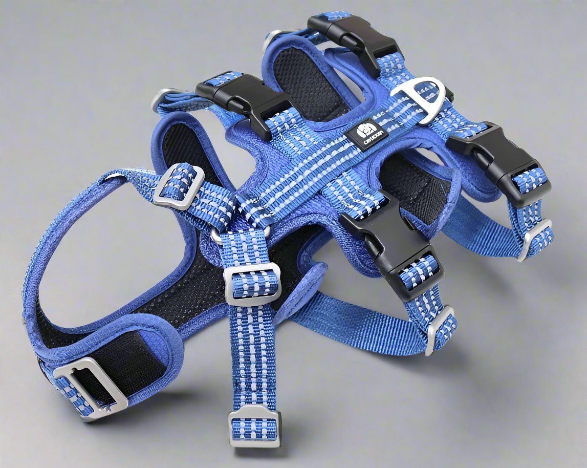 SPORT anti escape harness Cavlicious double lock system blue