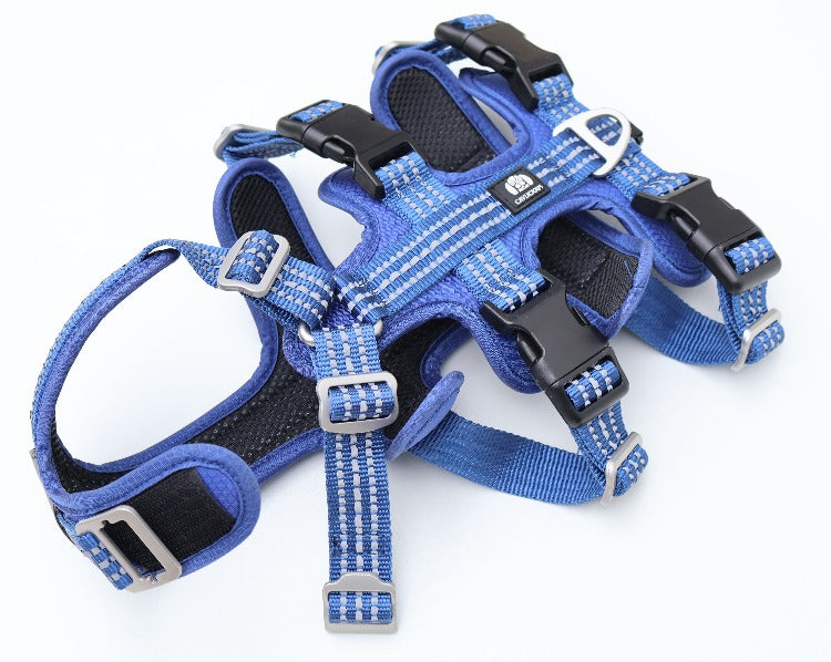 SPORT anti escape harness Cavlicious double lock system blue