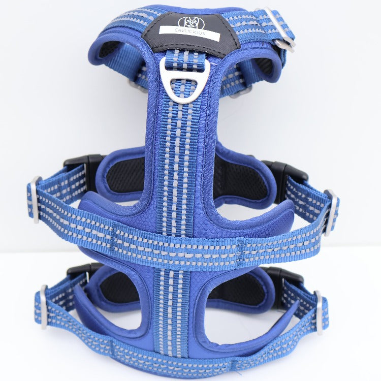 SPORT anti escape harness Cavlicious double lock system blue