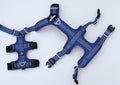 SPORT anti escape harness Cavlicious double lock system blue