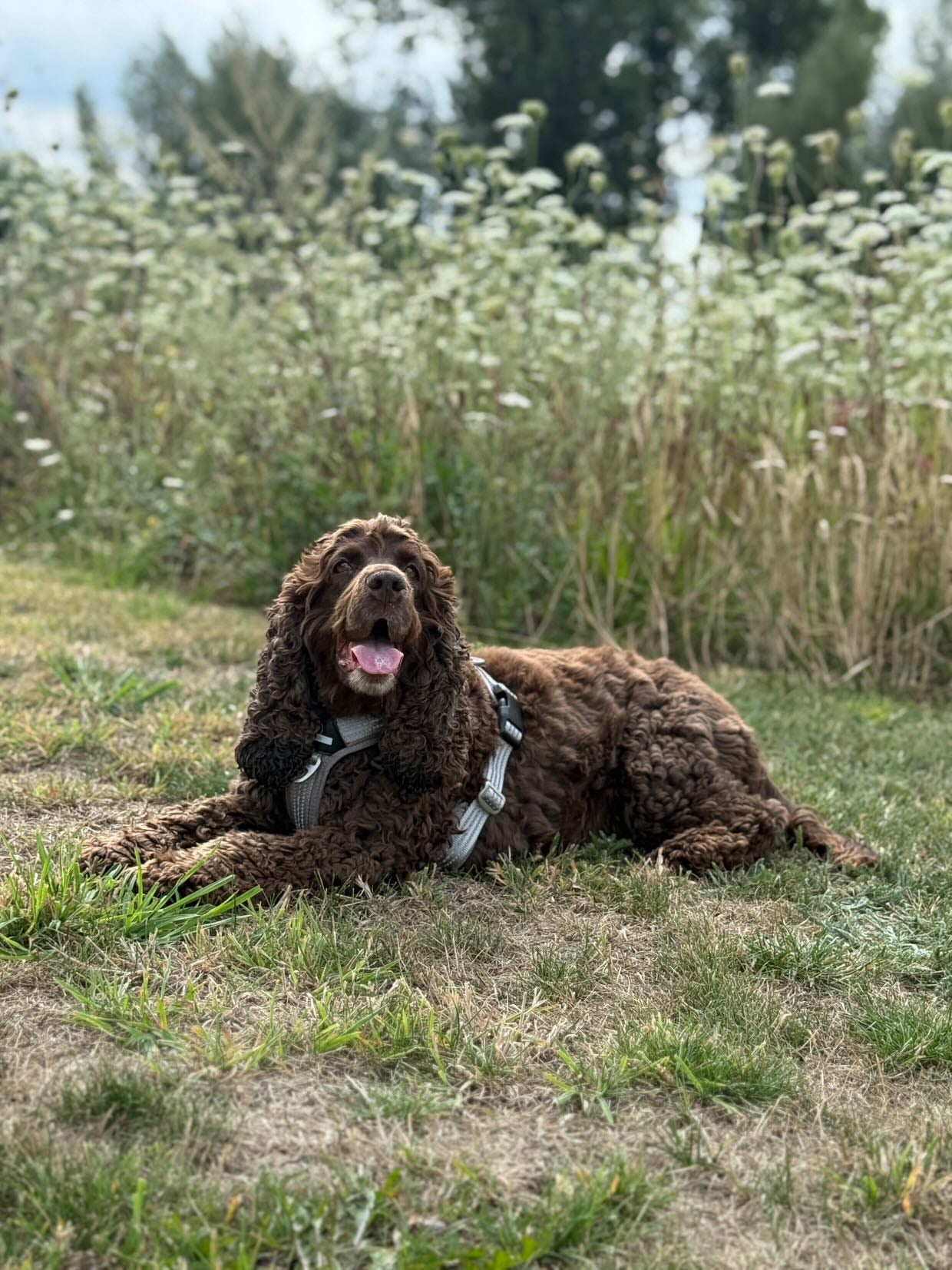 slider image 1621243260e1af0c20-1
