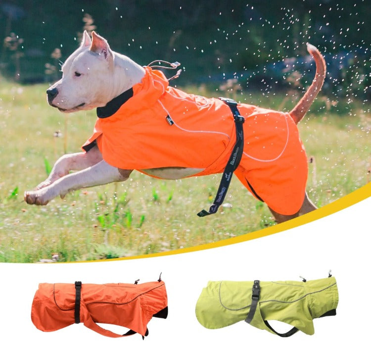 dog sport raincoat high quality