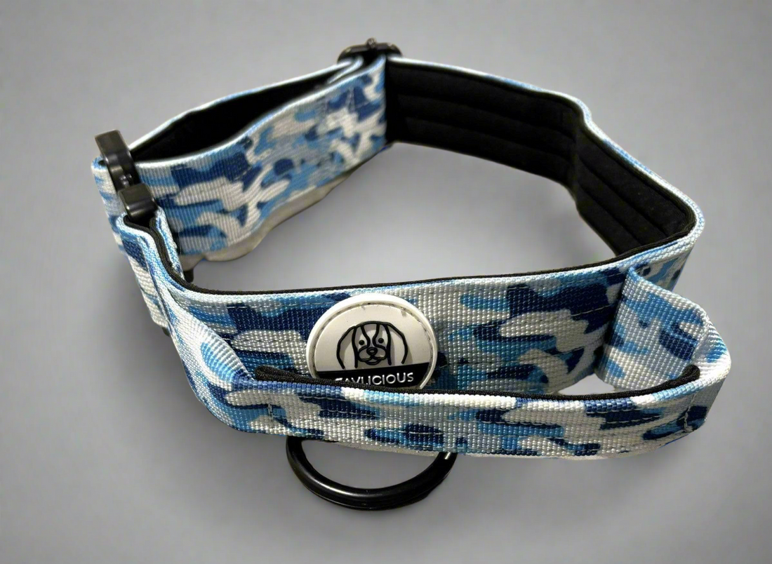 The Bold&amp;Brave tactical collar with frog clasp is perfect for large dogs who need extra support. Made with soft neoprene padding and a sturdy 3.8cm width, this collar offers both comfort and control. Available in red and blue camo, it also comes with a matching leash featuring a quick-release frog clasp for added safety.