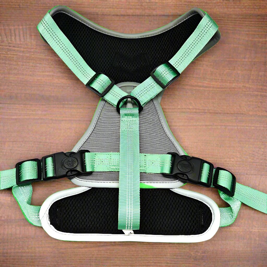 sturdy tactical dog harness with two D-rings and a handle on the back. Nylon webbing with soft neoprene underlay.