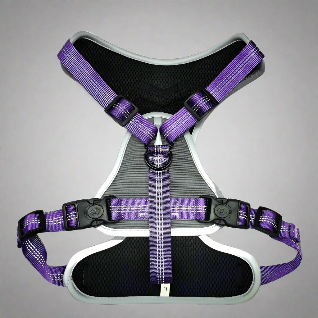 sturdy tactical dog harness with two D-rings and a handle on the back. Nylon webbing with soft neoprene underlay.